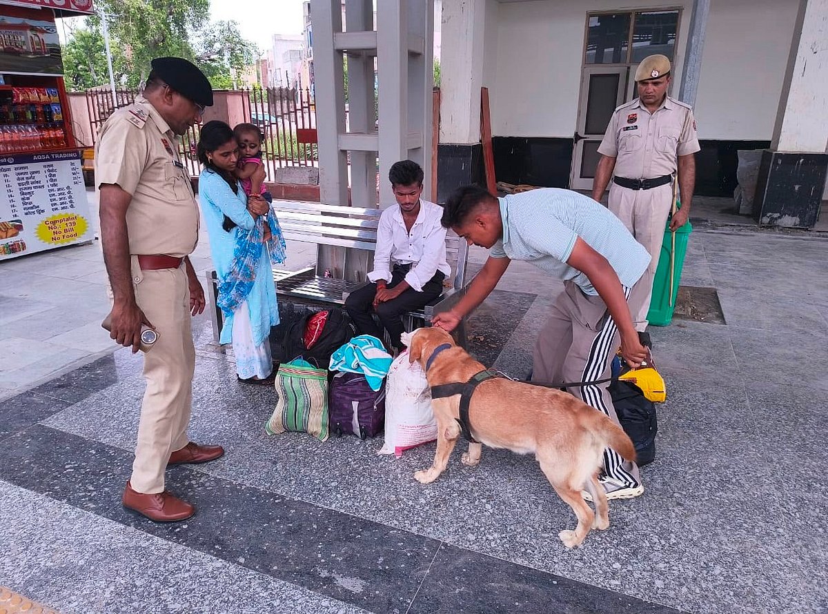 Haryana Police's sniffer dogs lead State's anti-drug drive, crack 48 NDPS cases in six months