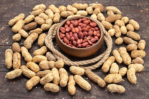 Groundnut 