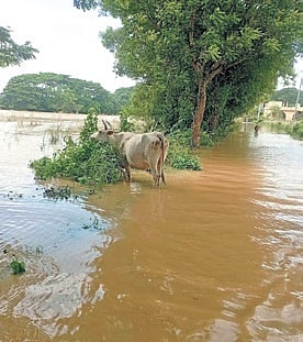 10 coastal districts put on alert as Hirakud water reaches Mundali