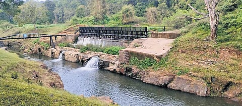 Untreated wastewater from more than 100 houses and commercial establishments allegedly flows into the 1.5-km diversion canal at Anaivachal.