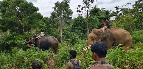 Kumki elephants Wasim and Jambu being deployed by Gudalur forest officials to drive away a makhna elephant following complaints of crop damage and its frequent movement near residential areas.
