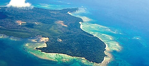 Image used for representational purposes.