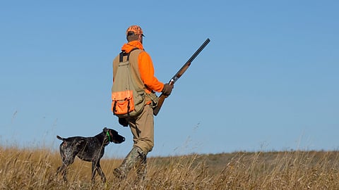 Representational image