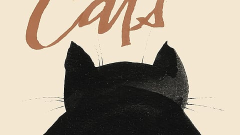 Flipping Pages in Feline Company