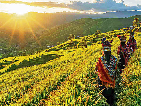 Ziro Valley
