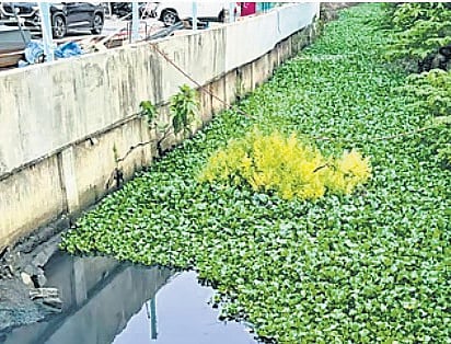 Leader of the Opposition V A Sreejith said the delay has increased the risk of waterlogging and the spread of waterborne diseases in many parts of the city.