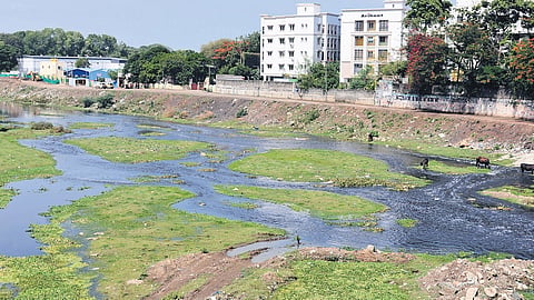 Focus will be on riverfront development and on improving water quality by removing sewage.