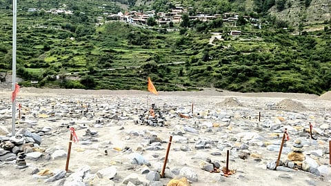 Locals and disaster victims planted saplings to commemorate the first death anniversary of their loved ones.