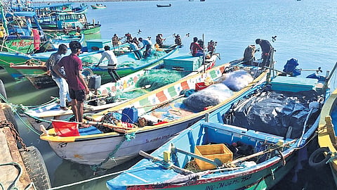 Budget announcements were catering largely to traditional fishermen, no measures seen for mechanised boat and trawl owners.