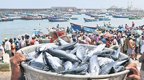 Karnataka also improved its ranking among seafood-exporting states, climbing from sixth in 2024-25 to fifth in 2025-26, according to data tabled in the Lok Sabha recently.