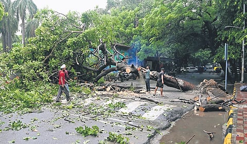 Several areas remained inundated as rainfall brought relief from humid conditions, while multiple weather systems are expected to keep showers active over the coming days.