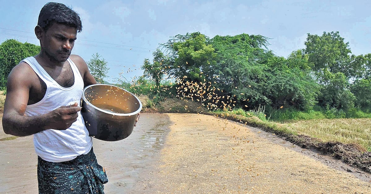 Unpaid seed dues leave cancer-hit Odisha farmers in despair