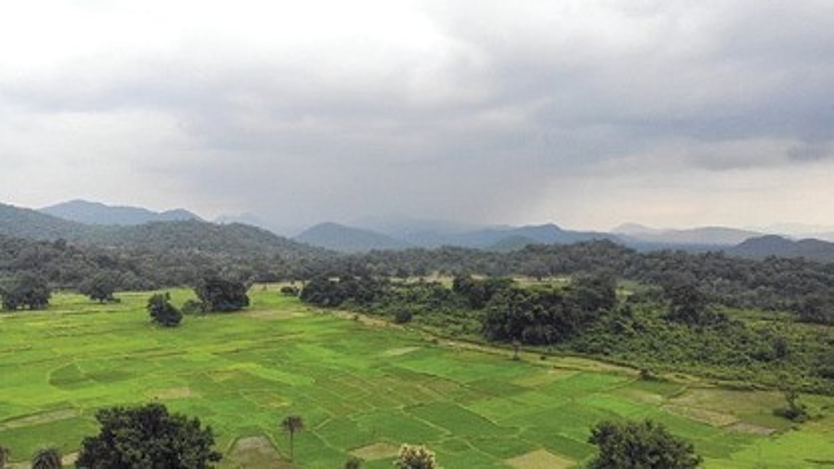 Odisha government set up high-level inquiry committee to probe village relocation process in Satkosia