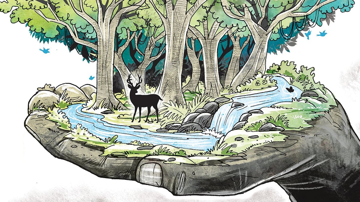 Three deaths expose deep faultlines of Karnataka’s forest frontier