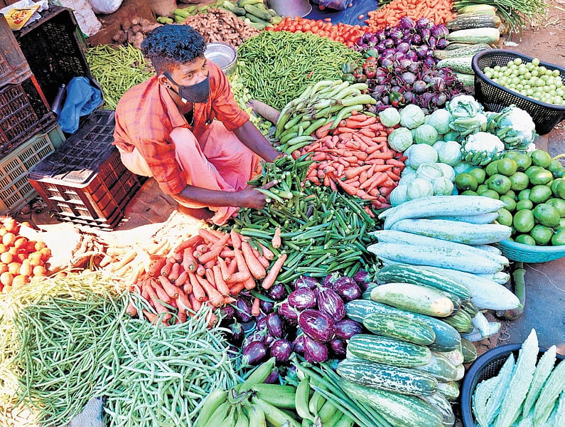 Dry spell, flood fail to dampen veggie farmers' spirit in Kerala