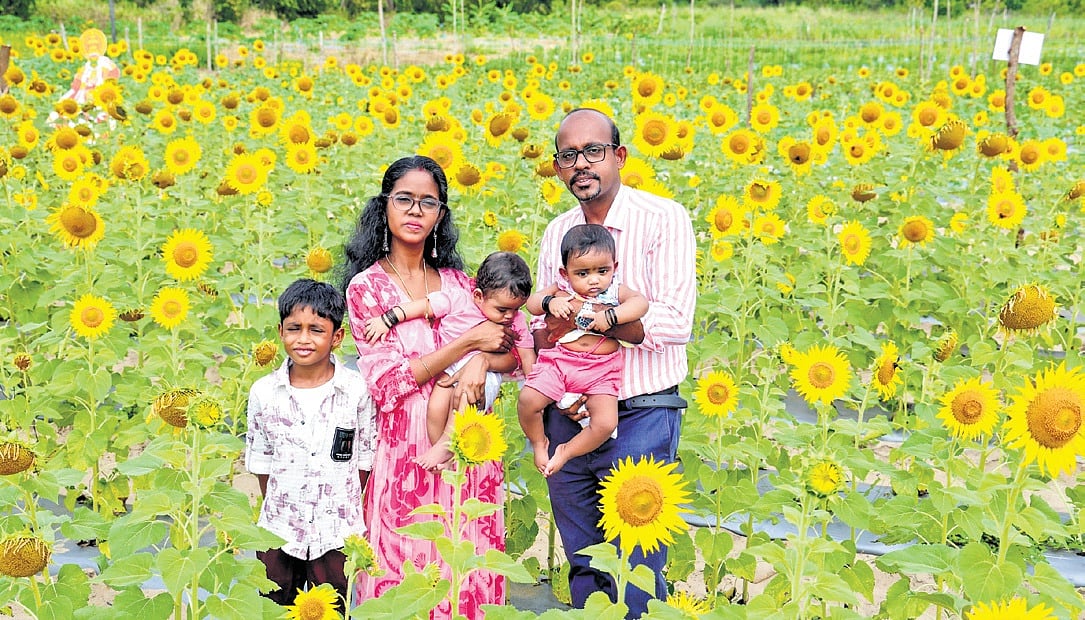 ‘Firefly’ farmer’s green thumb turns sandy wasteland ‘golden’