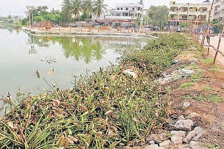 Kapra lake