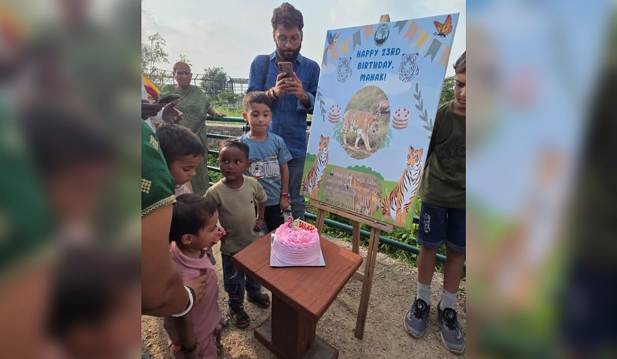 India’s ‘oldest tigress’ Mehak completes 23 years