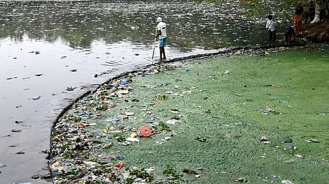 Workers clean up a  polluted water body covered in algae and litter at necklace road in Hyderabad.