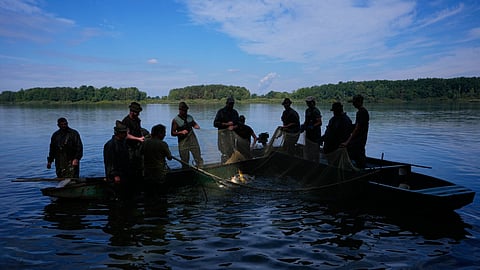 Fishermen pull in a net during a fish haul of the Kanov pond near the town of Trebon, Czech Republic, Wednesday