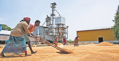 For the 2026-27 kharif marketing season, procurement will commence on Tuesday 