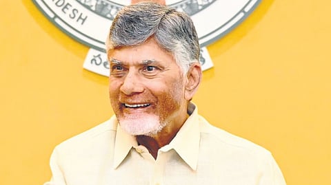 Chief Minister N Chandrababu Naidu 