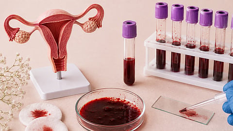 Exploring period blood’s regenerative potential