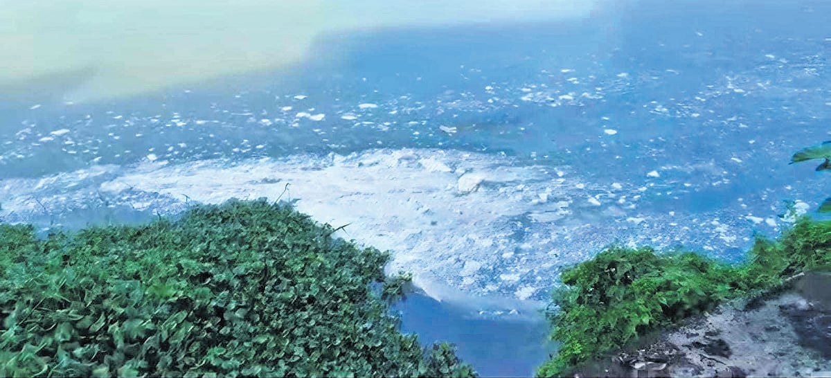 White froth in Periyar raises fresh pollution worries; PCB vows action