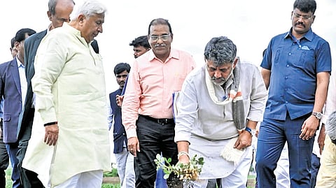 Chief Minister Shivakumar inspects a field at Kadampur in Gadag district on Tuesday.  