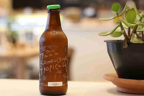 Probiotic and prebiotic sodas: Do ‘gut-friendly’ drinks really improve digestive health?