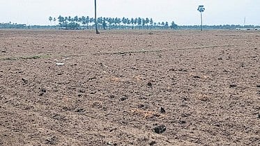 AP sees 1,263% rise in non-loanee crop insurance.