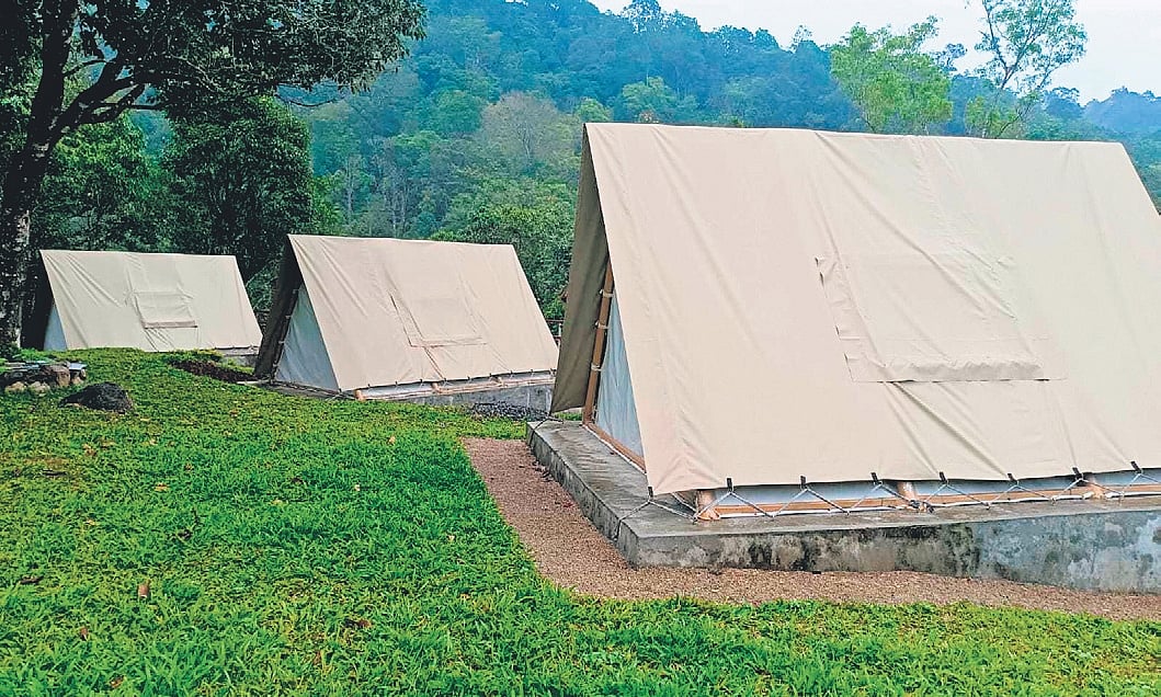 Beyond the bustling crowds of Gavi, Kochupamba offers a pristine, peaceful and exclusive forest escape