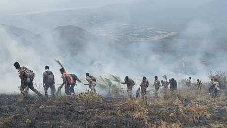  A team of forest department personnel engaged in fire-fighting operations on Kambathurayan Giri Hill in STR