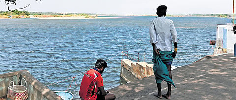 Cauvery water reached Mukkombu barrage in Tiruchy on Friday  