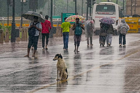  A dog and people at the Kartavya Path amid monsoon rain, in New Delhi, Saturday, Sept. 5, 2026. IMD has issued a yellow-to-orange alert for the day, predicting light-moderate rain.