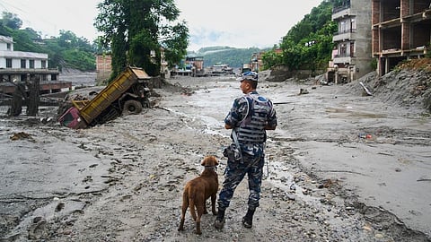 A policeman with a sniffer dog looks at the damage in the aftermath of flash floods in Devighat in the Nuwakot district in Nepal, Thursday, Aug 27, 2026.