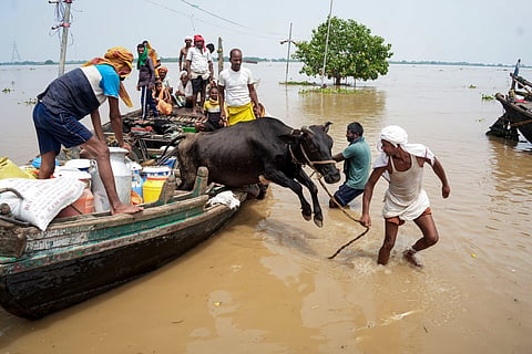 People, with their cattle, arrive from a flooded area following a rise in the water level of the Ganga river in Bihar’s Patna on Sunday 