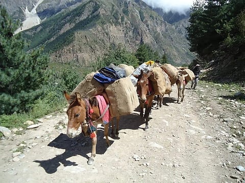 The Lipulekh Pass trade route, located at an altitude of over 17,000 feet, was closed after the 1962 India-China war. 