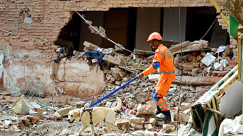 An NDRF personnel with a K9 dog squad conducts search and rescue operation at the PG building collapse site at Satya Niketan, in New Delhi on Monday, Sept. 08, 2026.