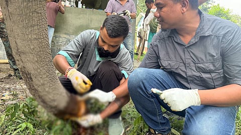 The 25-year-old injured elephant was first spotted with its calf on September 1 near the Daogen Gonthong anti-poaching camp along the India-Bhutan border. 