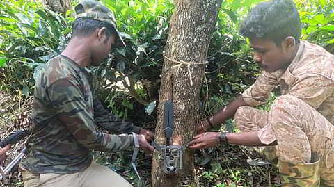 Forest Department officials in Gudalur can now monitor the movement of the suspected man-eater tiger round the clock through their phone
