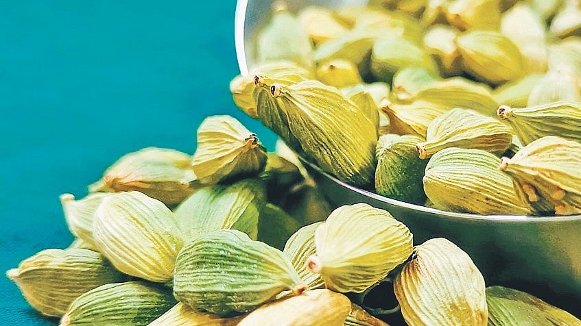 Cardamom boom spices up Idukki land market, TN planters join rush