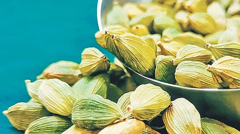 Prices of cardamom generally range between Rs 2,500 and Rs 2,800 a kg and bulk prices touch Rs 3,000.