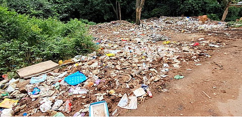 Tourists visiting the area for picnics and outings often leave behind plastic plates, water bottles, covers and other waste. 