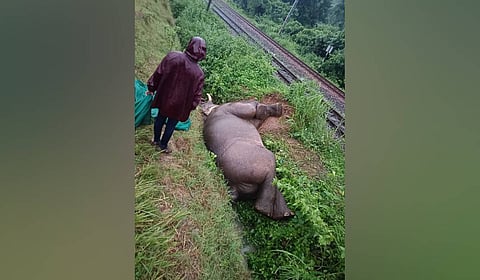  Tusker was killed by train engine on  Bissamcuttack-Therubali railway line near Burundabadi.
