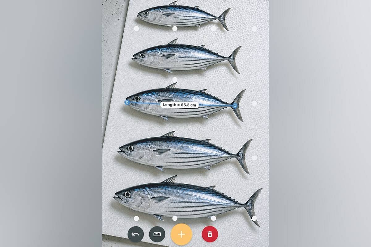 Fish measurement, documentation made easier with MatsyaMetri app