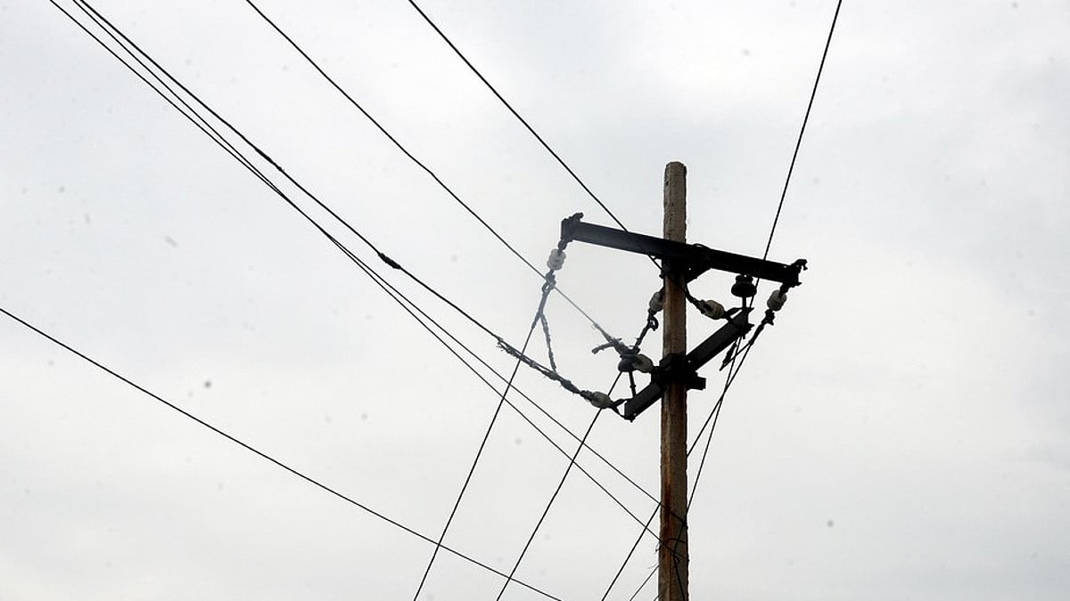 Three people injured, 2 animals dead as power line snaps in Chennai