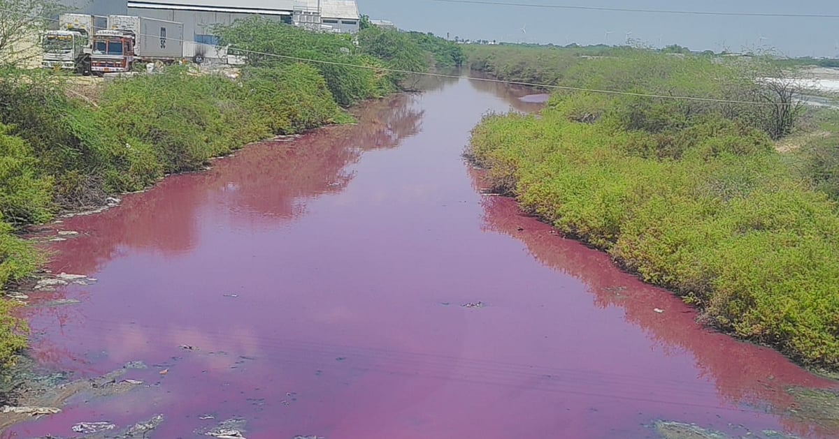 TN forest stream turns pink, seafood processing firms under the scanner