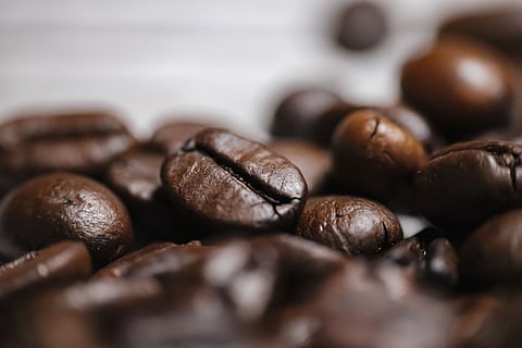 Tiger Bright, a brand of Koraput Coffee, was included in the kits distributed to media personnel and delegates at the summit by the Ministry of External Affairs (MEA).