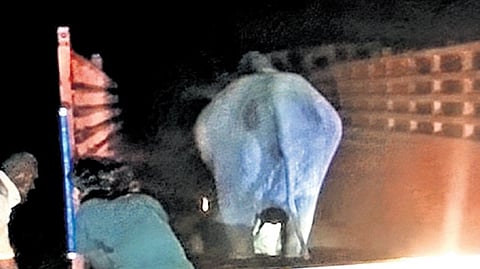 Elephant Durga on its way to Madurai from Assam 